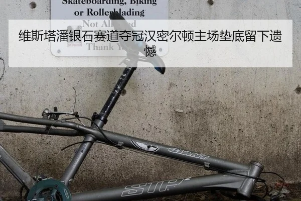 维斯塔潘银石赛道夺冠汉密尔顿主场垫底留下遗憾