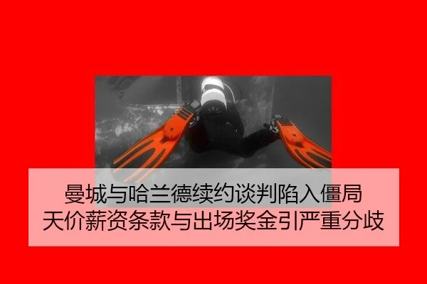 man-cheng-yu-ha-lan-de-xu-yue-tan-pan-xian-ru-jiang-ju-tian-jia-xin-zi-tiao-kuan-yu-chu-chang-jiang-jin-yin-yan-zhong-2-741.jpg