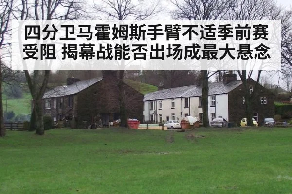四分卫马霍姆斯手臂不适季前赛受阻 揭幕战能否出场成最大悬念
